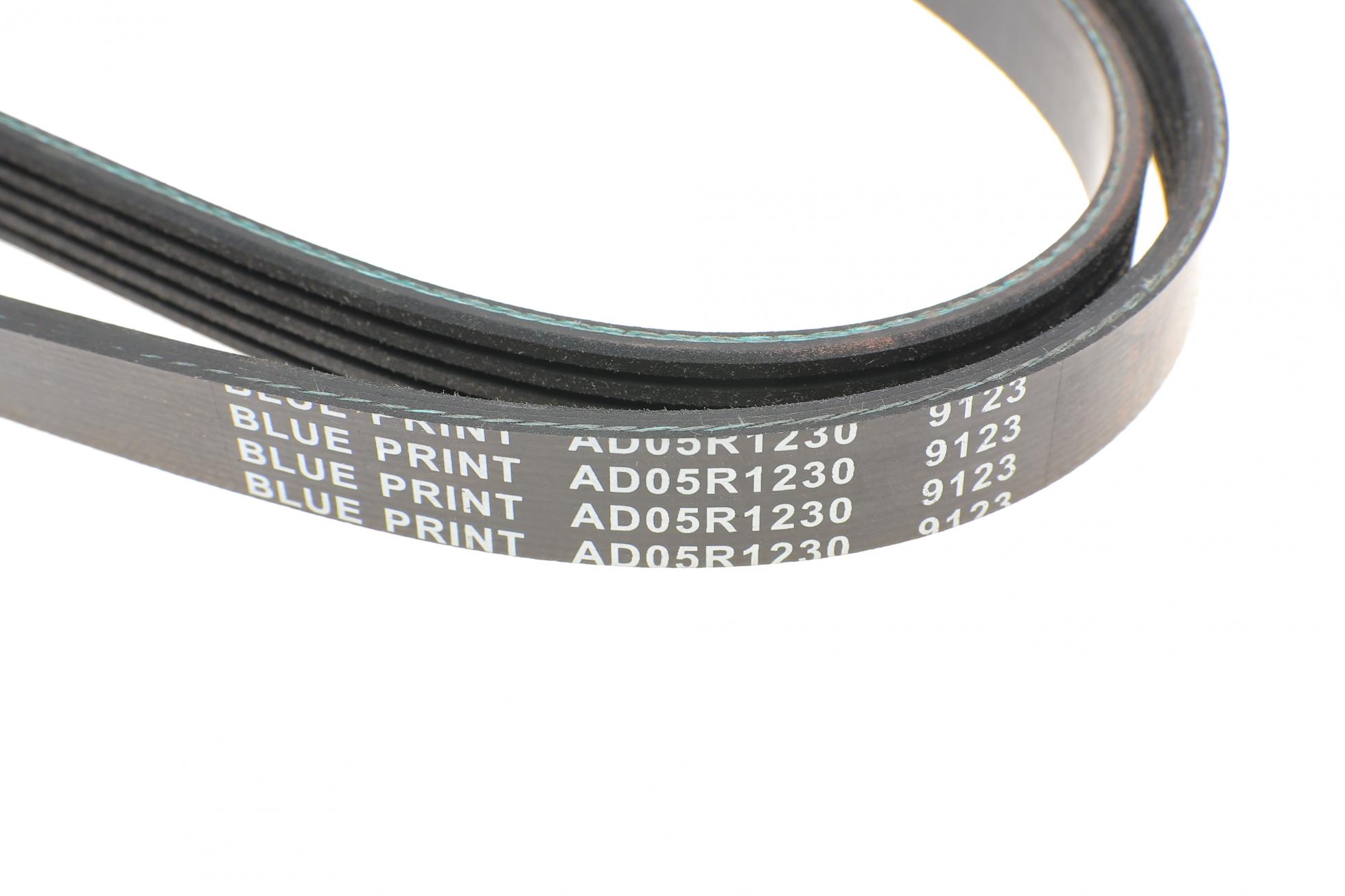 AD05R1230 BLUE PRINT